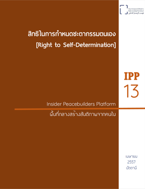 IPP 13
